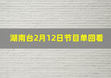 湖南台2月12日节目单回看