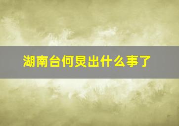 湖南台何炅出什么事了