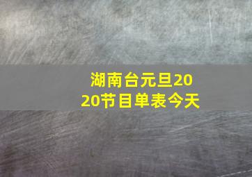 湖南台元旦2020节目单表今天