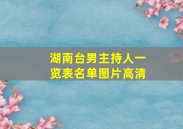 湖南台男主持人一览表名单图片高清