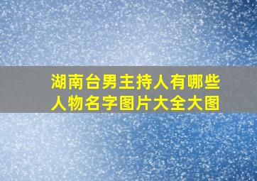 湖南台男主持人有哪些人物名字图片大全大图