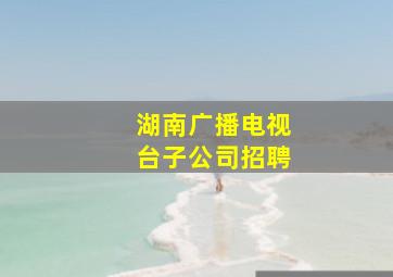 湖南广播电视台子公司招聘