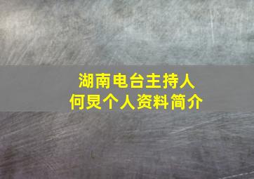 湖南电台主持人何炅个人资料简介