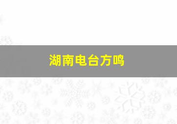 湖南电台方鸣