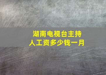 湖南电视台主持人工资多少钱一月