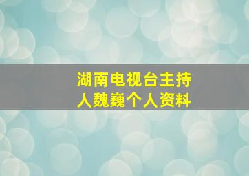 湖南电视台主持人魏巍个人资料