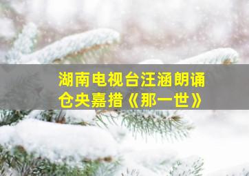 湖南电视台汪涵朗诵仓央嘉措《那一世》