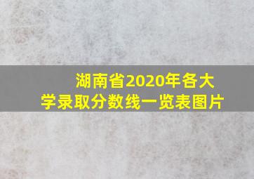 湖南省2020年各大学录取分数线一览表图片