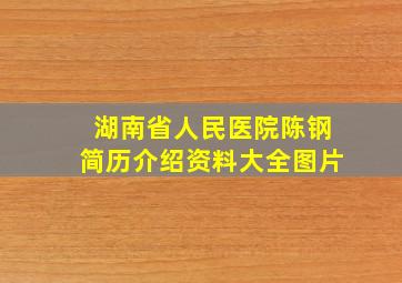 湖南省人民医院陈钢简历介绍资料大全图片