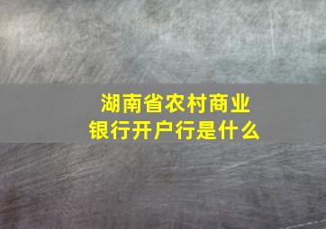 湖南省农村商业银行开户行是什么