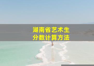 湖南省艺术生分数计算方法