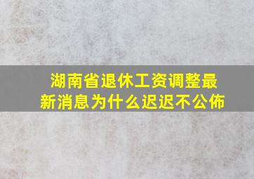 湖南省退休工资调整最新消息为什么迟迟不公佈