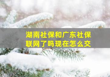 湖南社保和广东社保联网了吗现在怎么交