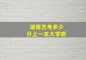 湖南艺考多少分上一本大学啊