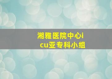 湘雅医院中心icu亚专科小组