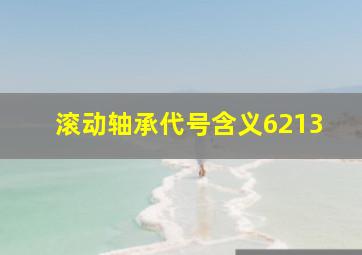 滚动轴承代号含义6213