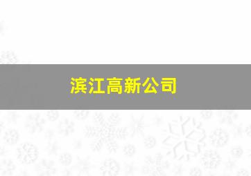 滨江高新公司