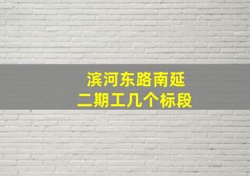 滨河东路南延二期工几个标段