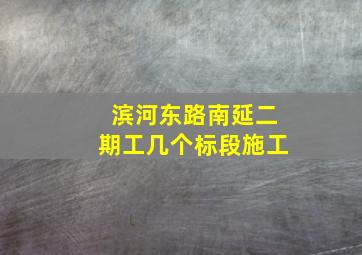 滨河东路南延二期工几个标段施工