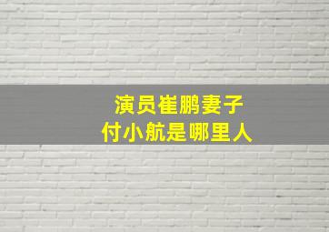 演员崔鹏妻子付小航是哪里人