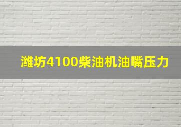 潍坊4100柴油机油嘴压力