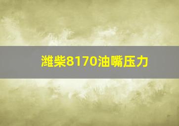 潍柴8170油嘴压力