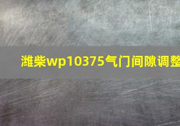 潍柴wp10375气门间隙调整