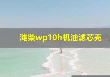 潍柴wp10h机油滤芯壳