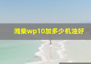 潍柴wp10加多少机油好