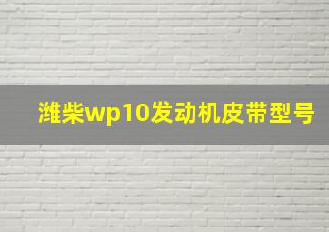 潍柴wp10发动机皮带型号