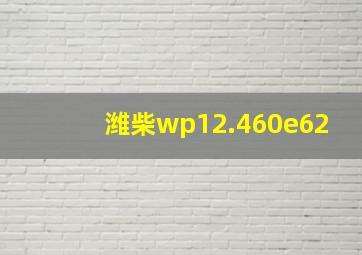 潍柴wp12.460e62