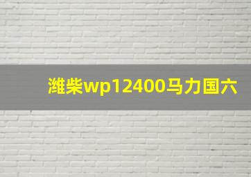 潍柴wp12400马力国六