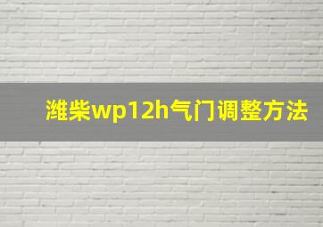 潍柴wp12h气门调整方法