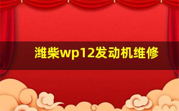 潍柴wp12发动机维修