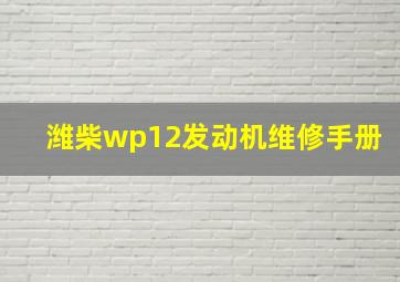 潍柴wp12发动机维修手册