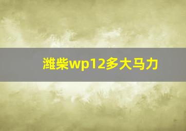 潍柴wp12多大马力