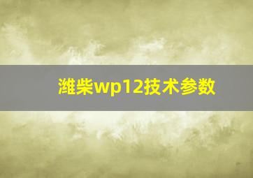 潍柴wp12技术参数