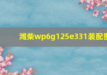 潍柴wp6g125e331装配图