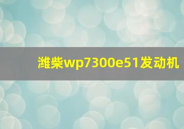 潍柴wp7300e51发动机