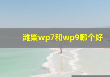 潍柴wp7和wp9哪个好