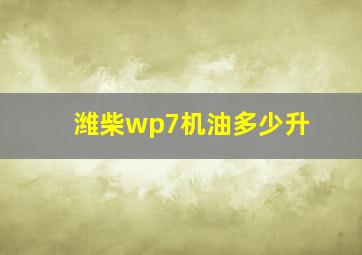 潍柴wp7机油多少升