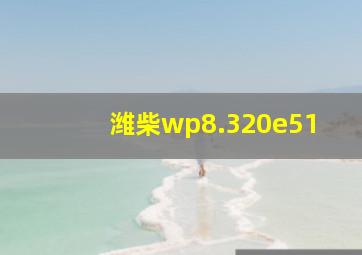 潍柴wp8.320e51