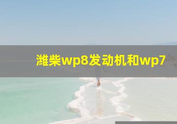 潍柴wp8发动机和wp7