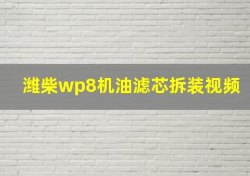 潍柴wp8机油滤芯拆装视频