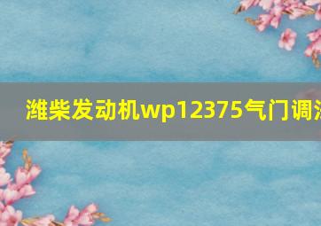 潍柴发动机wp12375气门调法