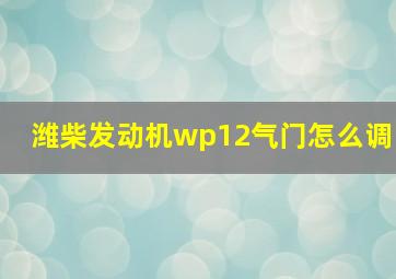 潍柴发动机wp12气门怎么调