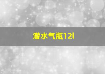 潜水气瓶12l