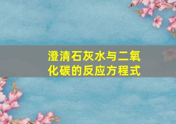 澄清石灰水与二氧化碳的反应方程式