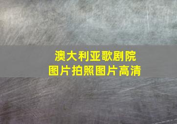 澳大利亚歌剧院图片拍照图片高清