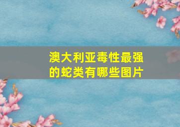 澳大利亚毒性最强的蛇类有哪些图片